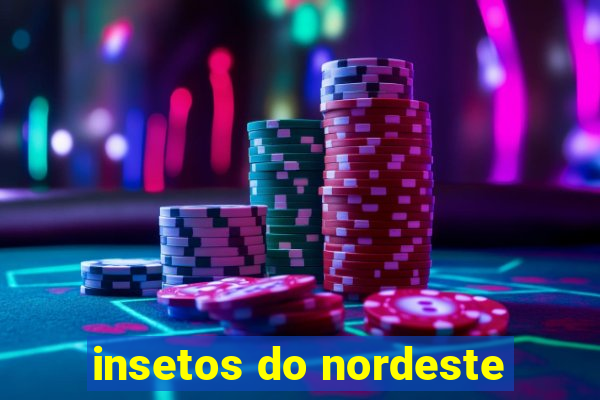 insetos do nordeste